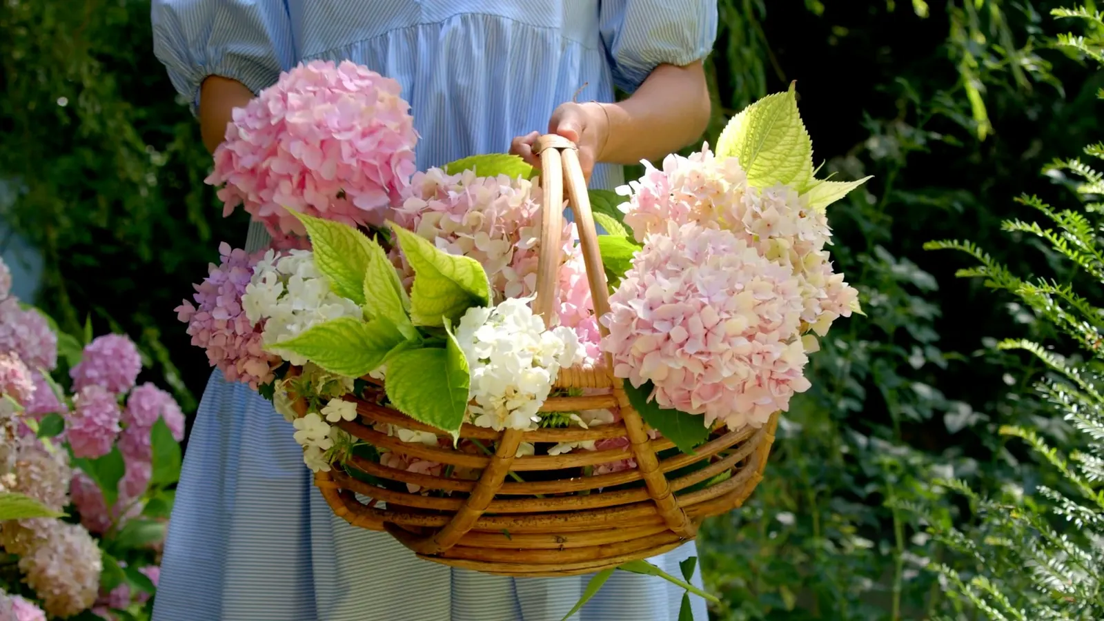 Sommer – Lederleitner